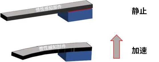 1666689038761615.jpg 2.jpg